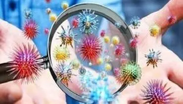 خطر مرگ و میر کرونا در بین این افراد ۱۲ برابر بیشتر است