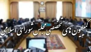 ترکیب ۹ کمیسیون تخصصی در مجلس یازدهم مشخص شد + اسامی