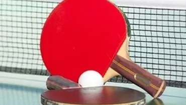 راکت بدمینتون در بازار چند؟