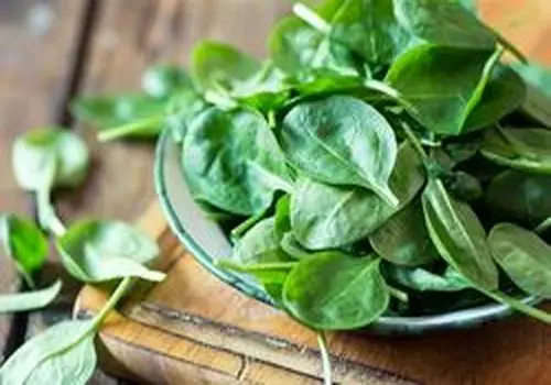 فواید باورنکردنی مارچوبه برای کنترل چربی و فشار خون