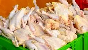 بازگشت قیمت مرغ به ۱۵ هزار تومان