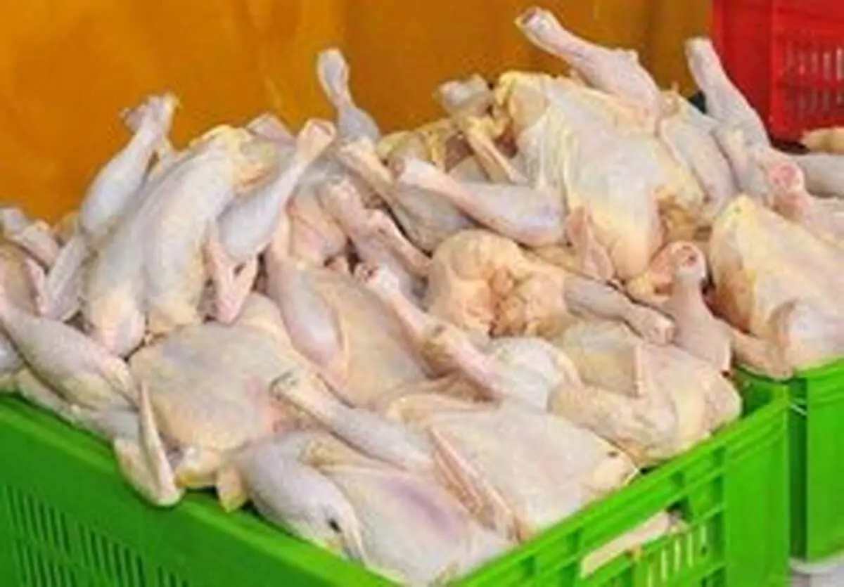 بازگشت قیمت مرغ به ۱۵ هزار تومان