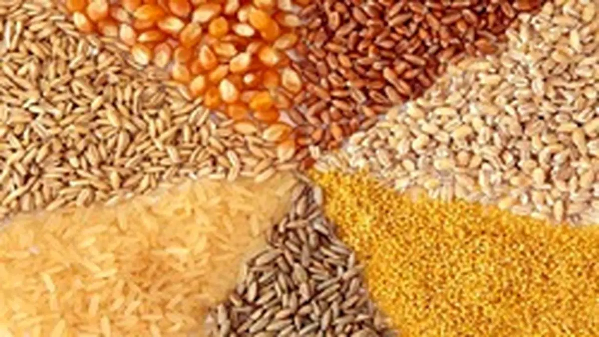 کمبود نهاده‌های دامی با نرخ مصوب دردسرساز شد