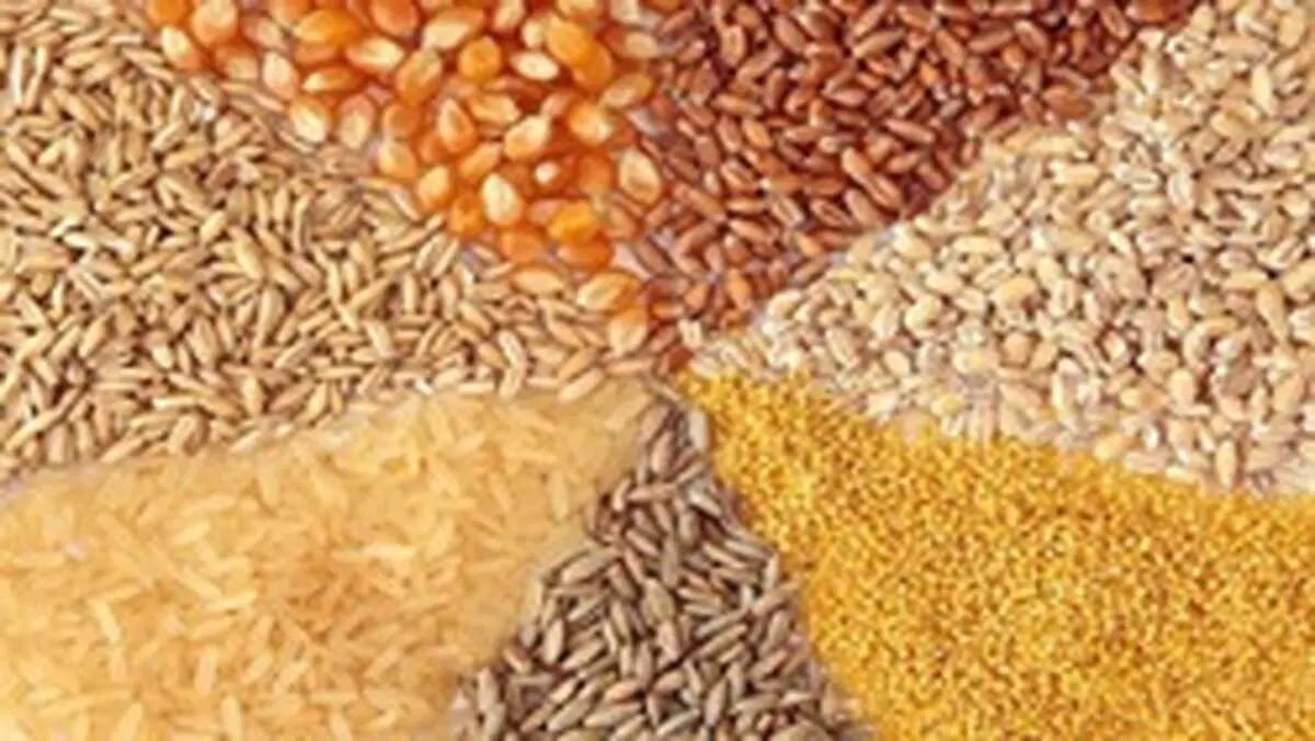 کمبود نهاده‌های دامی با نرخ مصوب دردسرساز شد