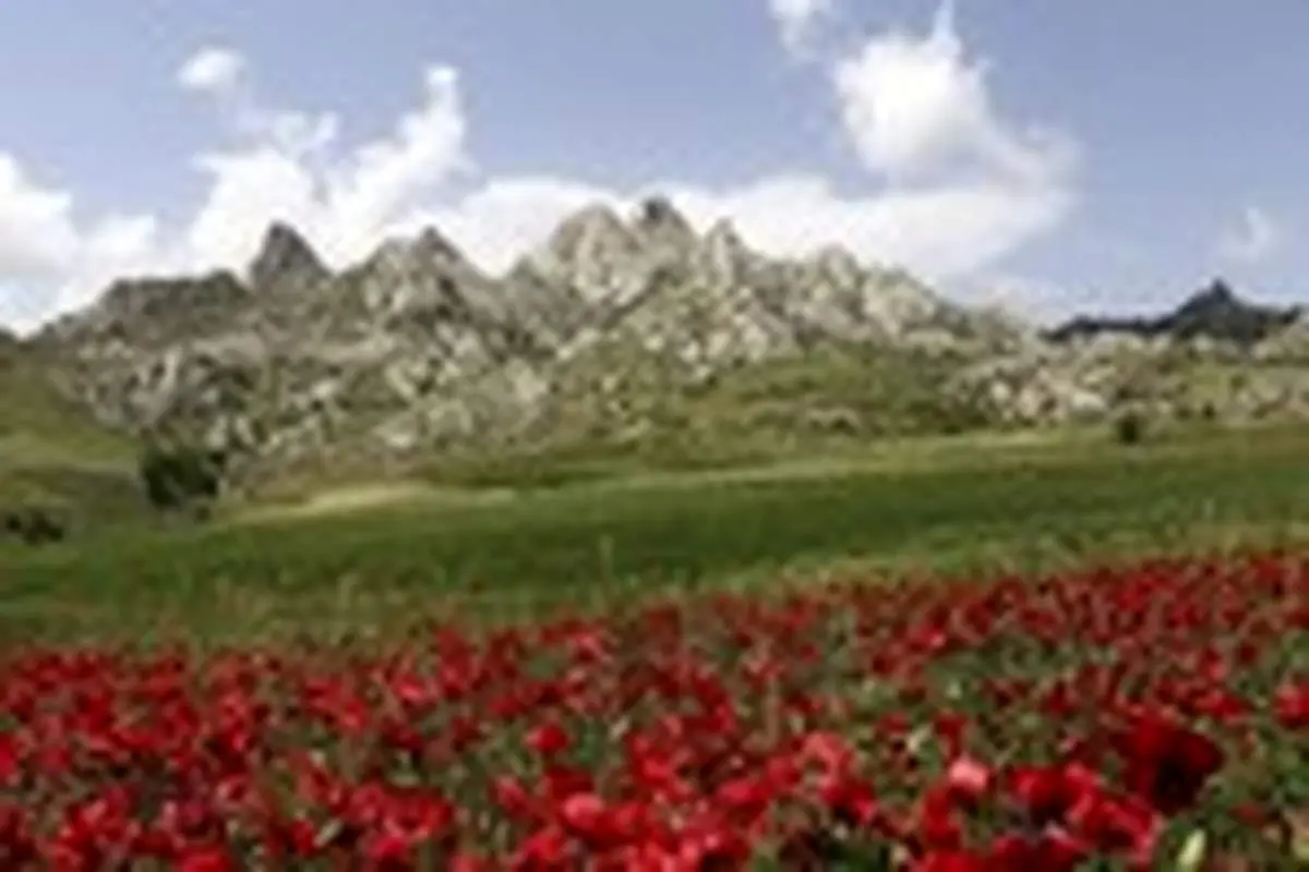 طبیعت بکر ارسباران
