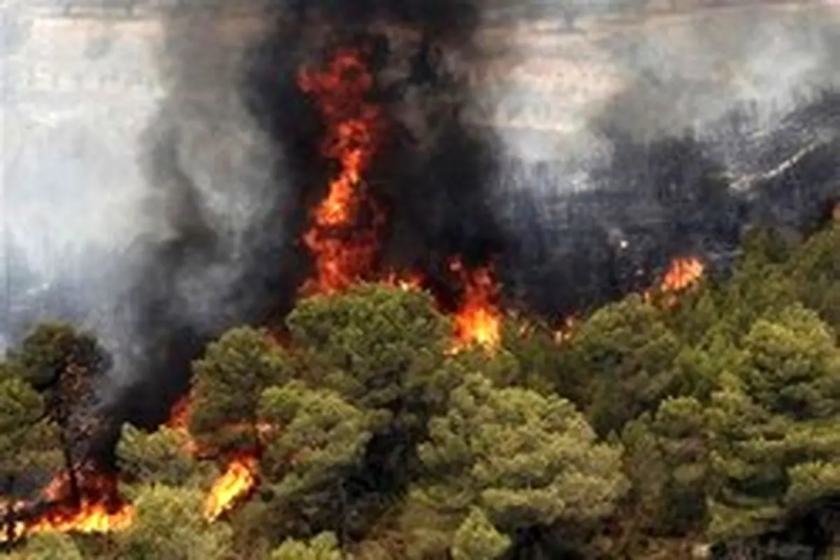 جزئیات کشته شدن ۳ فعال محیط زیست در جریان آتش سوزی «جنگل های پاوه»