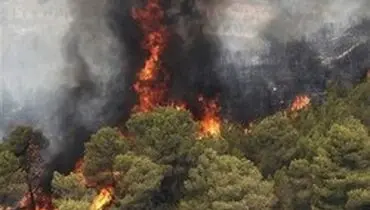 جزئیات کشته شدن ۳ فعال محیط زیست در جریان آتش سوزی «جنگل های پاوه»
