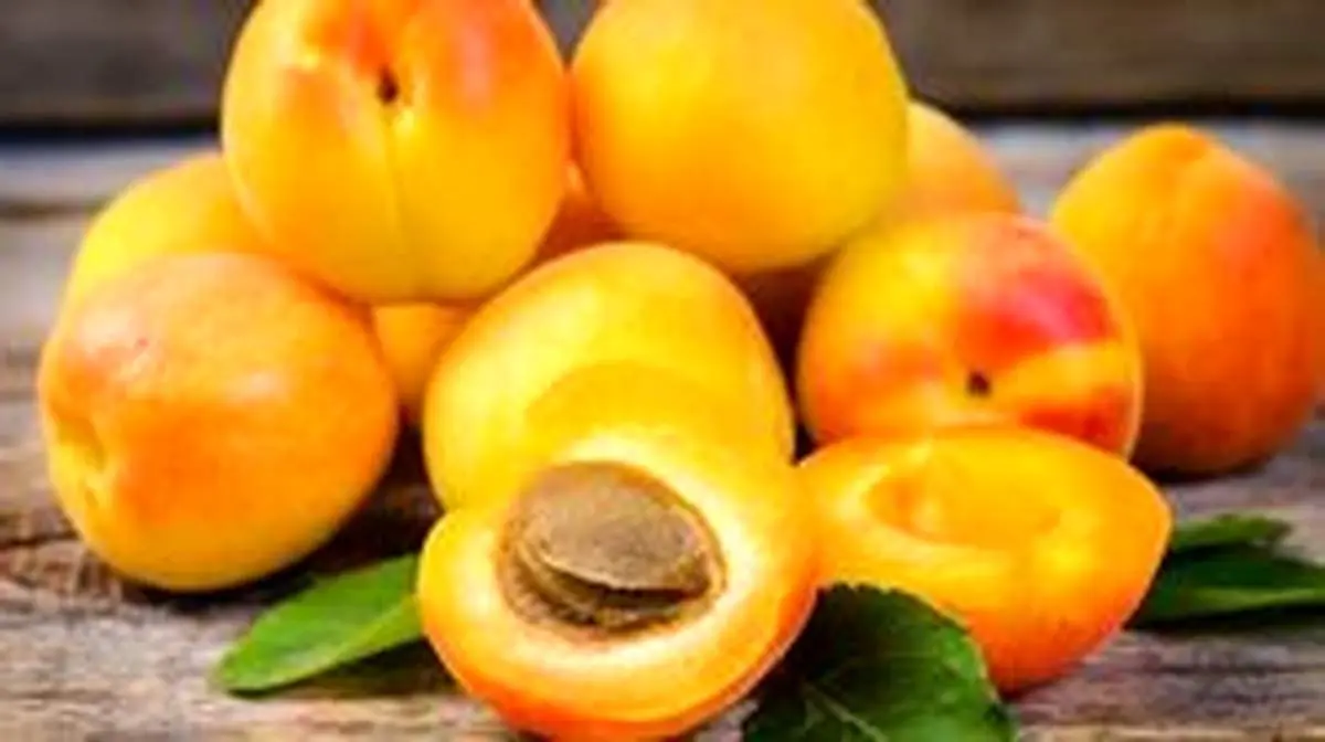 خواص بی نظیر زردآلو