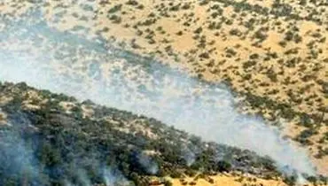آتش سوزی در جنگل‌های «تنوم» پلدختر