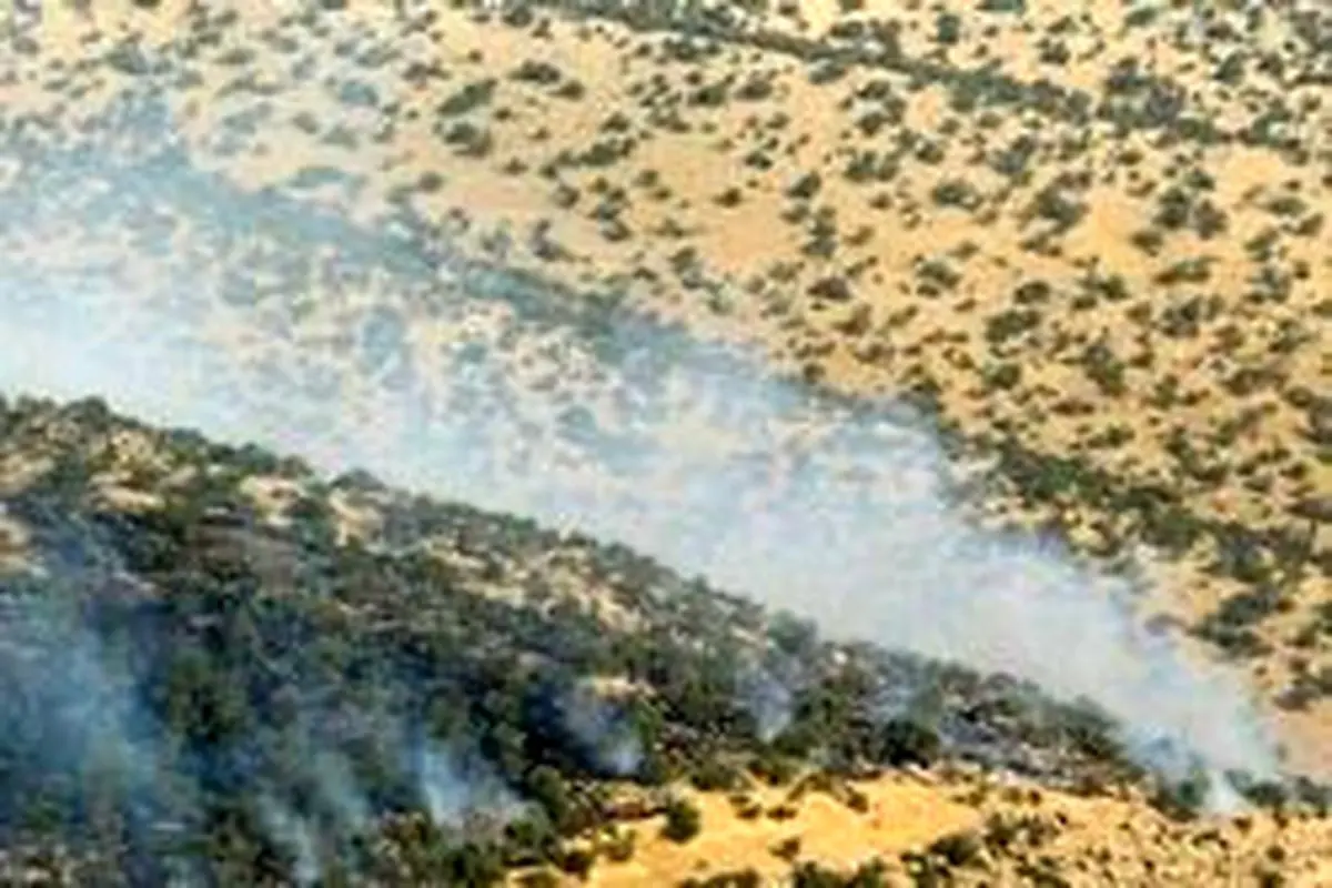 آتش سوزی در جنگل‌های «تنوم» پلدختر