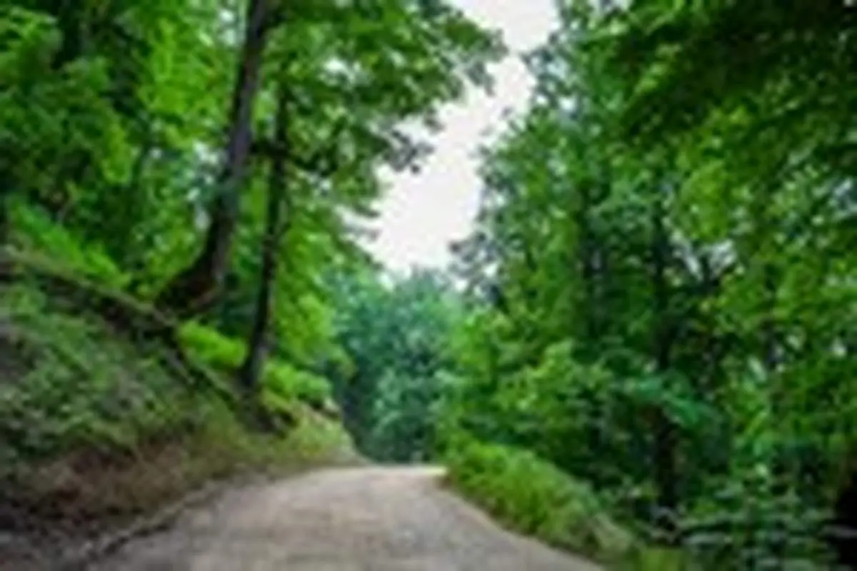 طبیعت شگفت‌انگیز گیلان