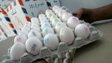 قیمت تخم‌مرغ در بازار همچنان بالاست