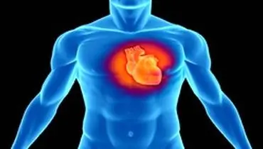 پروتئینی که آسیب حمله قلبی را کاهش می دهد