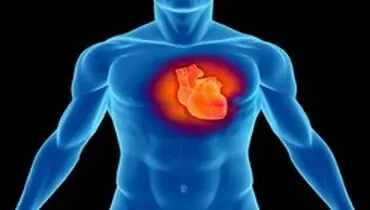 پروتئینی که آسیب حمله قلبی را کاهش می دهد