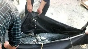 قتل خواهر و ۳ خواهر زاده به دلیل اختلاف مالی/ کشف اجساد از داخل چاه آب