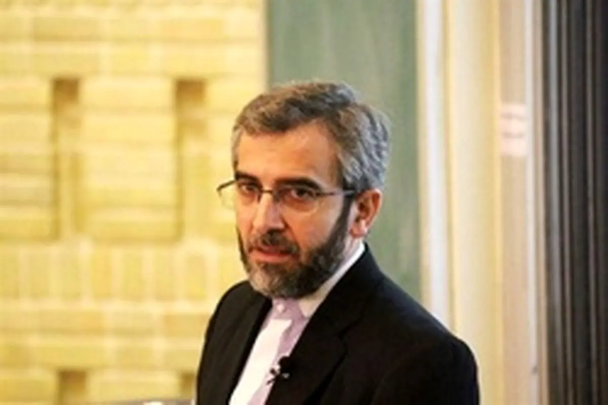 علی باقری:تحریم، بهای پایبندی ایران به حقوق بشر است