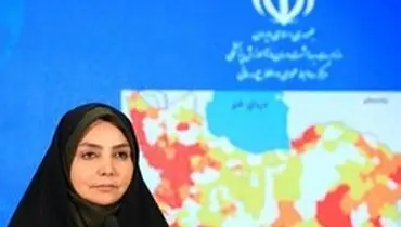 لاری: مشکلات نیرو‌های بهداشتی در دست پیگیری است