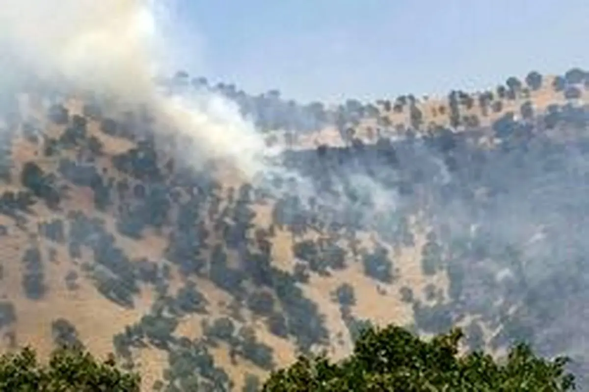 مهار آتش‌سوزی منطقه حفاظت‌شده بوزین مرخیل پس از ۸ روز
