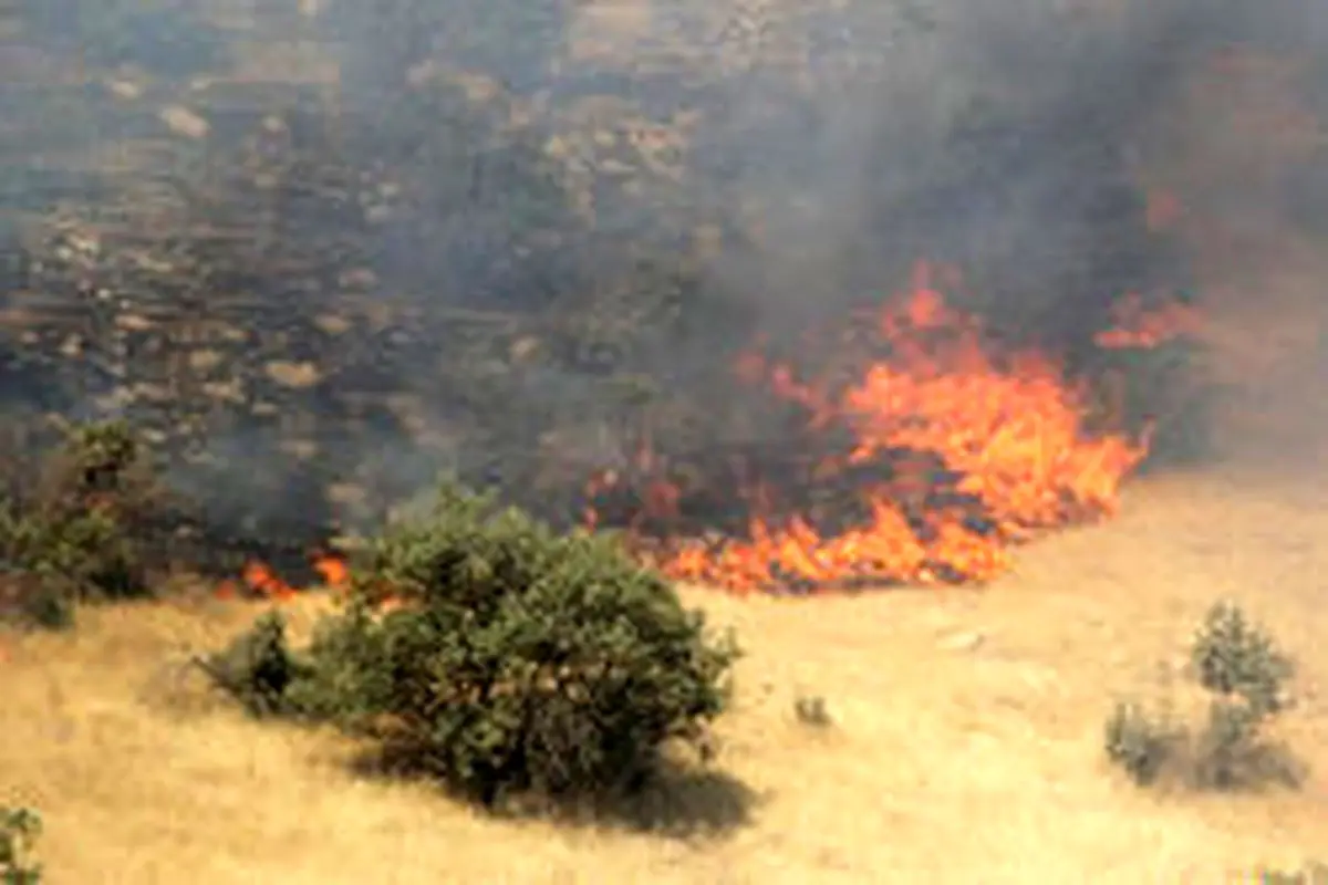 آتش سوزی جنگل‌های بلوط کوخدان در منطقه تحت حفاظت «دنا»