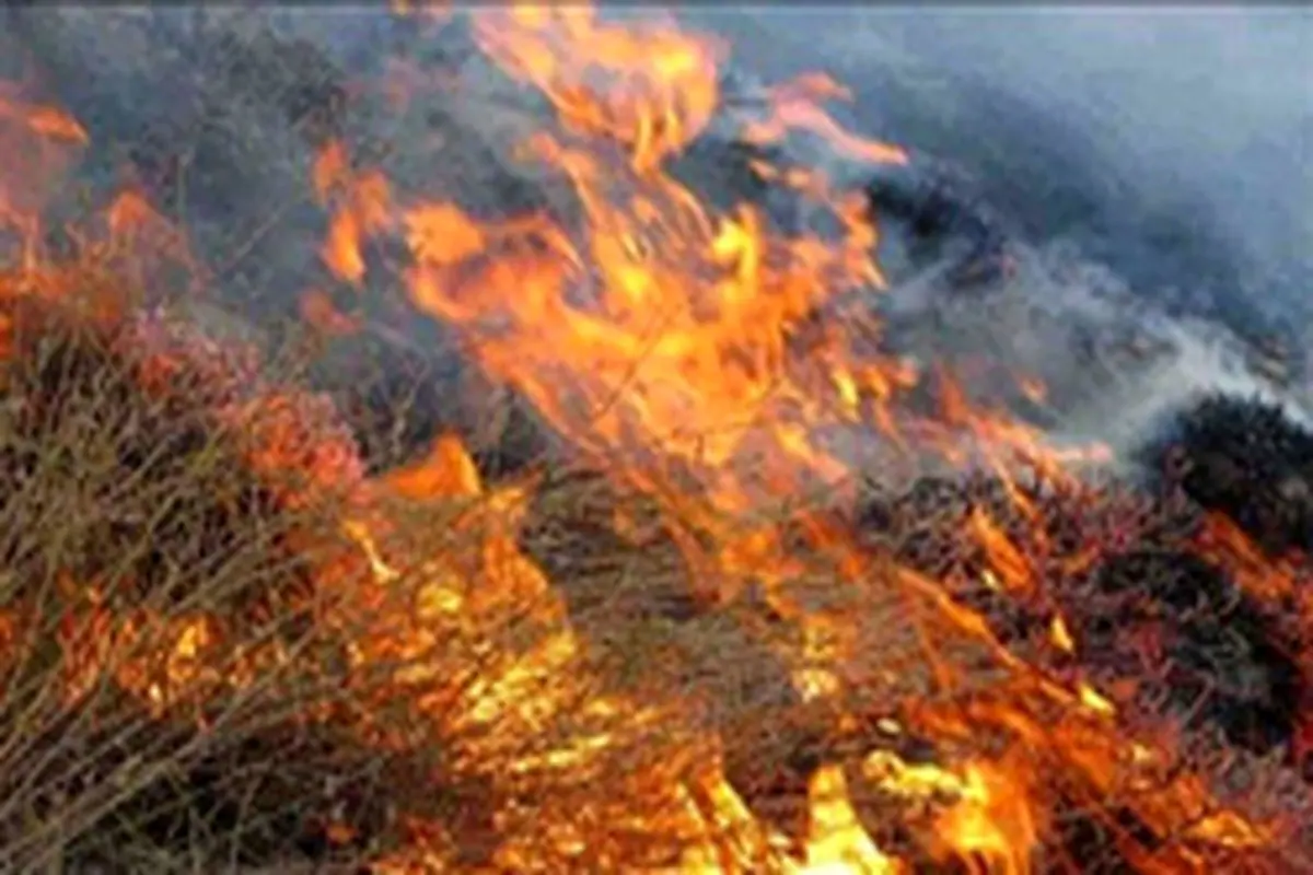 مهار آتش سوزى در مراتع قیرو کارزین