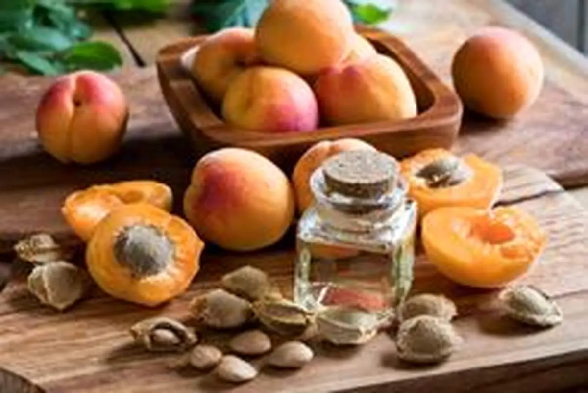 خواص عجیب روغن هسته زردآلو