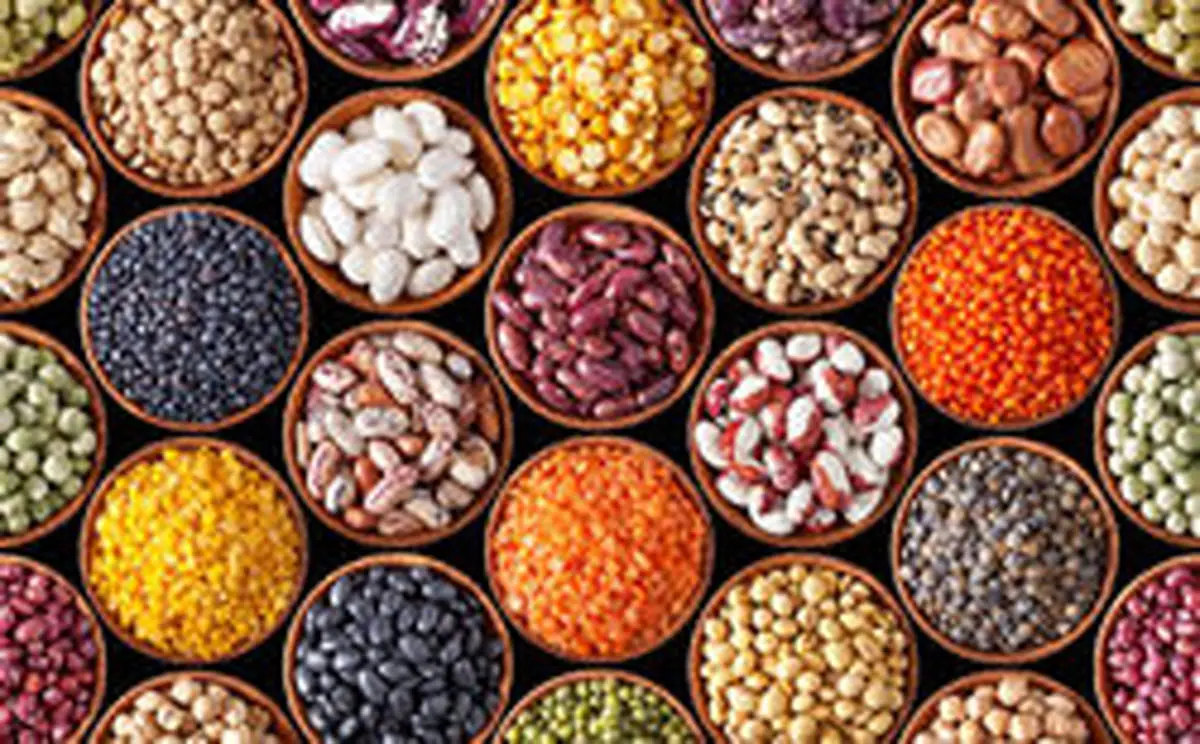 روش نگهداری انواع حبوبات