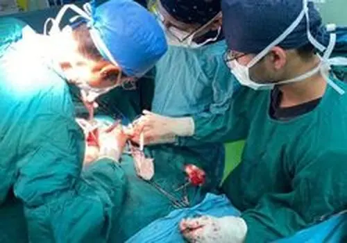 جزئیاتی از درخواست قطع دست این ۸ سارق حرفه ای تهران