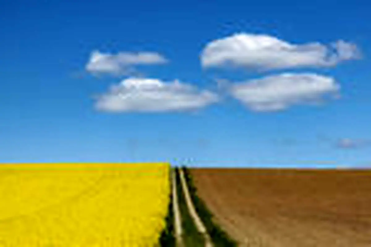 نقاشی آسمان