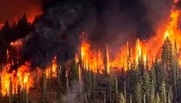 جنگل‌های دمچنار بویراحمد همچنان در آتش می‌سوزد