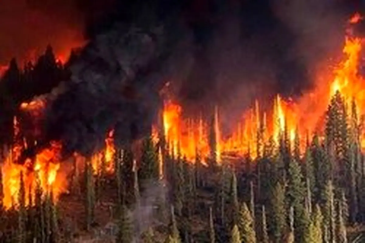 جنگل‌های دمچنار بویراحمد همچنان در آتش می‌سوزد