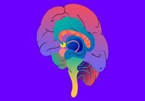 ۴ روش کاربردی برای تقویت حافظه