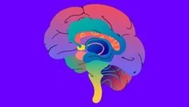 پنج گام موثر برای تقویت حافظه
