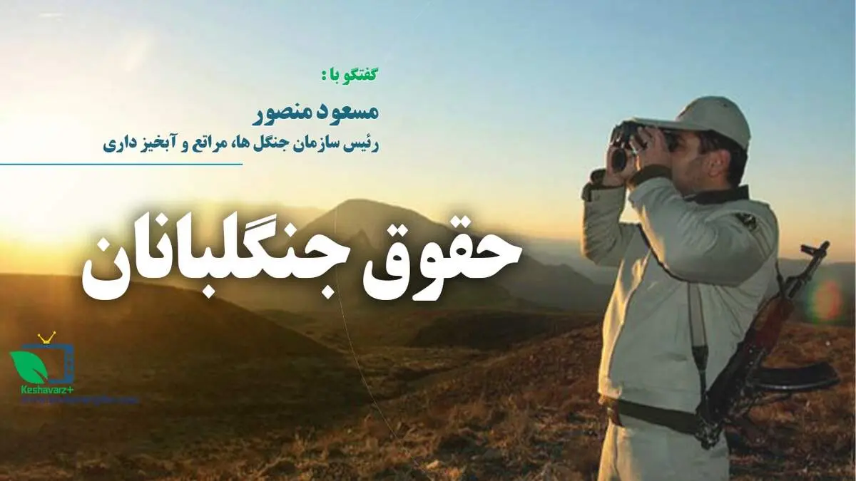 روایت تازه از جنگلبانانی که کف دستمزد را هم نمی گیرند! + فیلم