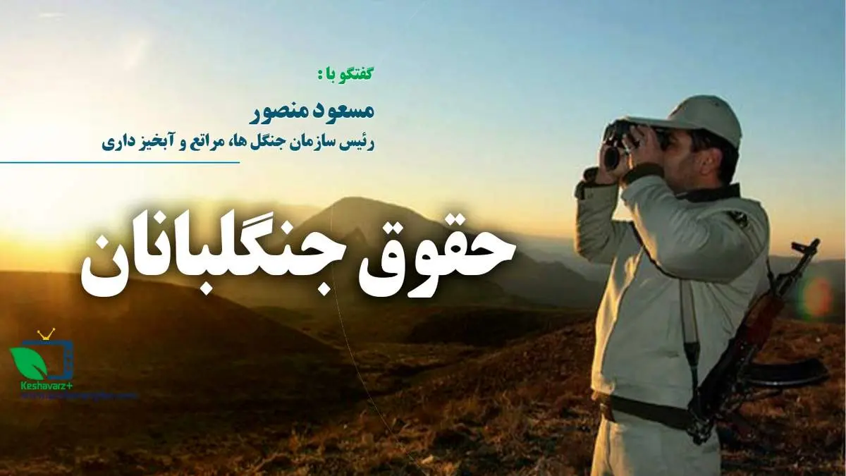 روایت تازه از جنگلبانانی که کف دستمزد را هم نمی گیرند! + فیلم