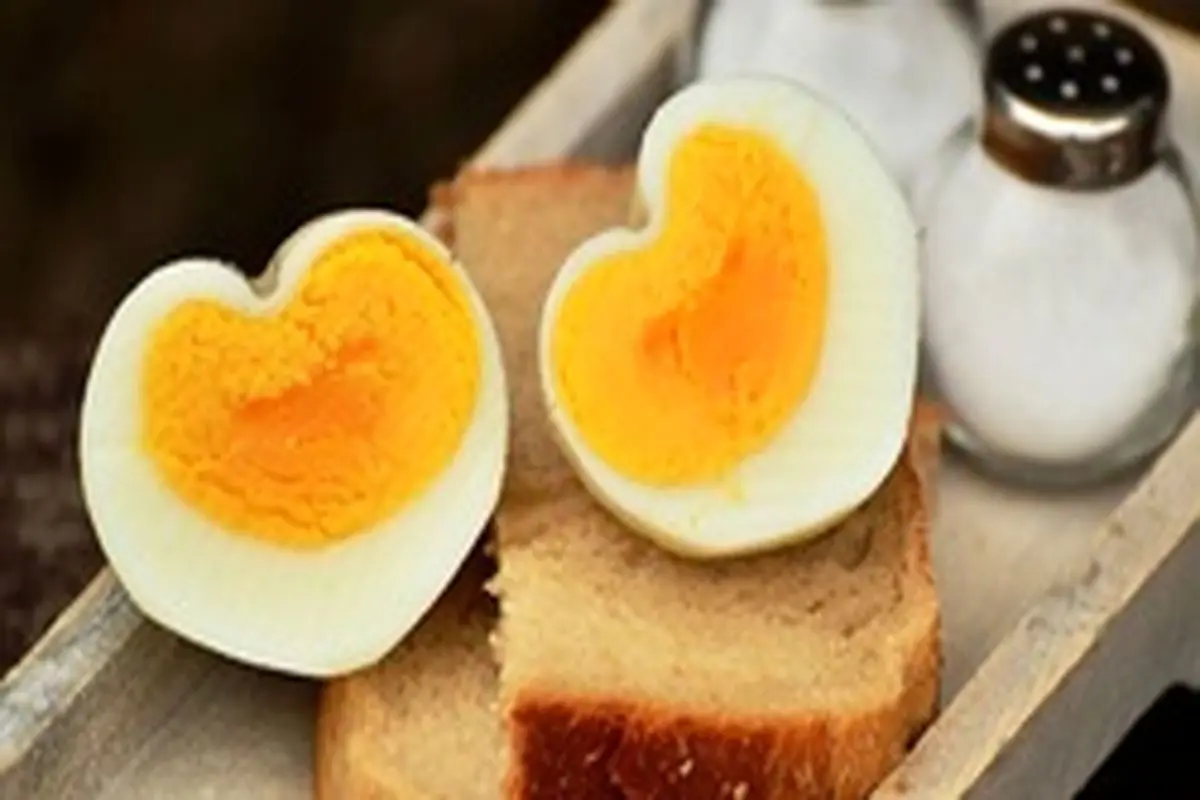 بزرگسالان در هفته چه مقدار تخم مرغ مصرف کنند؟
