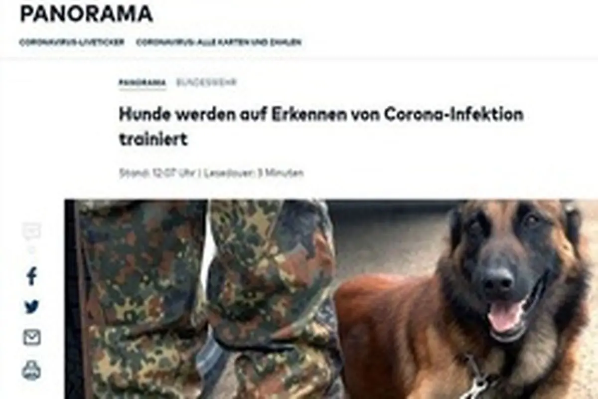 این ۱۰ سگ کرونا یاب هستند! / ارتش آلمان آموزش داد + عکس