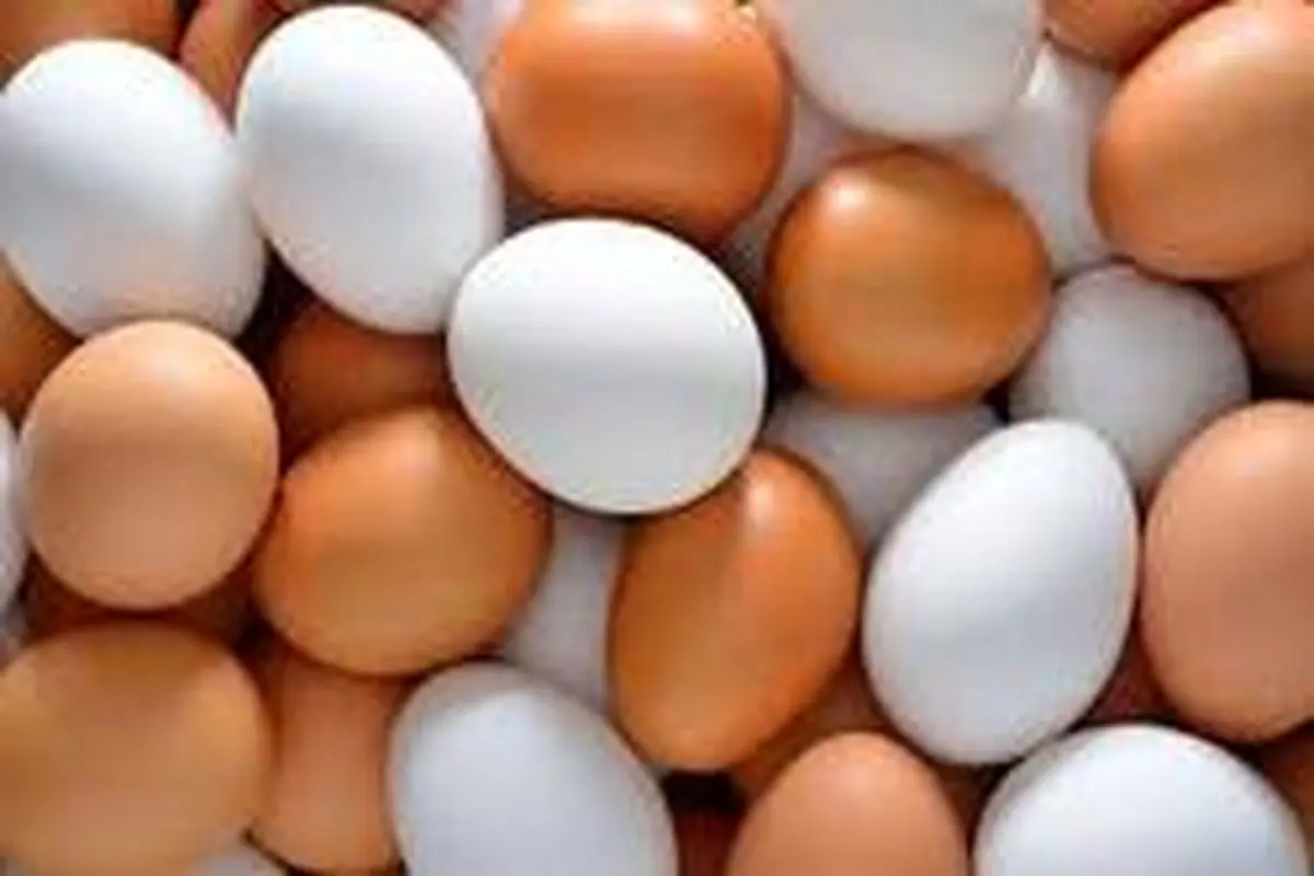 در طول روز تا چند عدد تخم مرغ می‌توانید مصرف کنید؟
