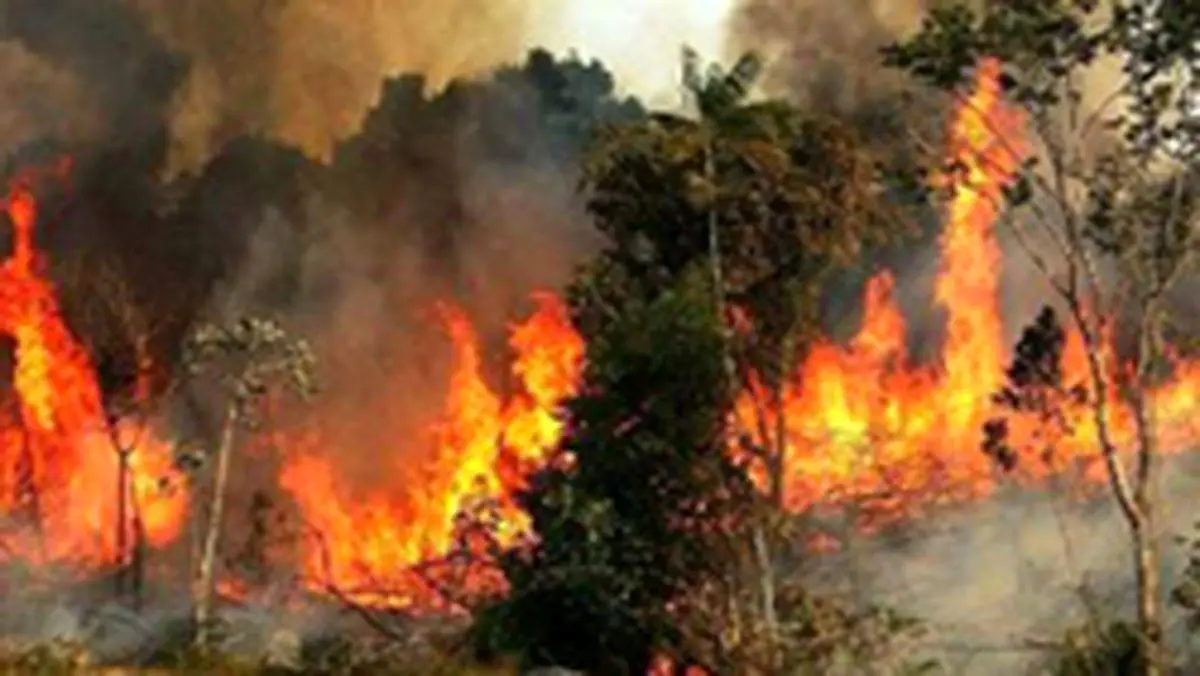 مهار آتش سوزی در آباده