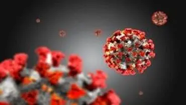 تولید داروی پیشگیری از کرونا بر پایه مواد گیاهی در دانشگاه تهران