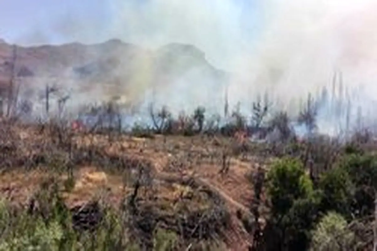 آتش‌سوزی در کوهپایه‌های دارآباد