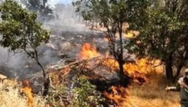 آتش‌سوزی جنگل‌های اردل قربانی گرفت
