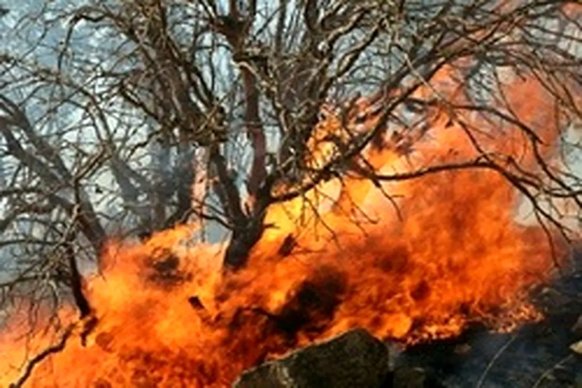 نابودی سه هزار و ۵۰۰ هکتار از مراتع در آتش سوزی بوزین و مرخیل