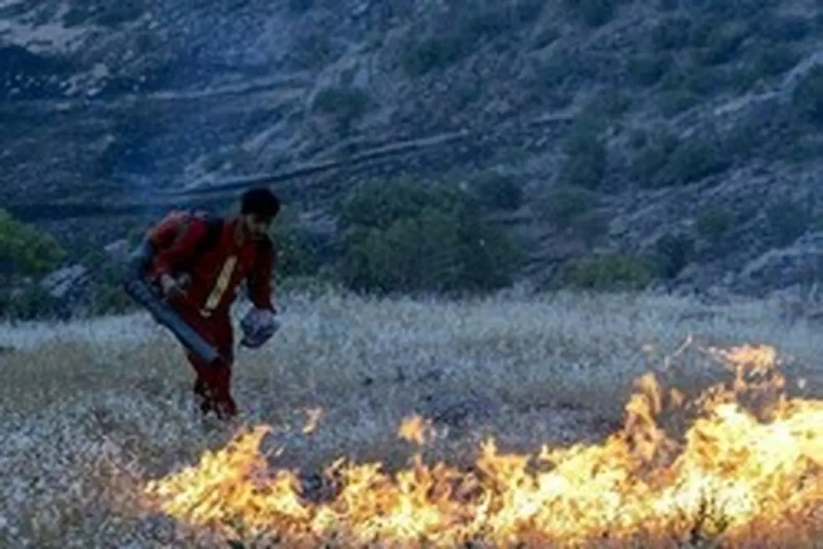سامانه خودکار پیش‌بینی آتش‌سوزی در عرصه‌های طبیعی طراحی شد