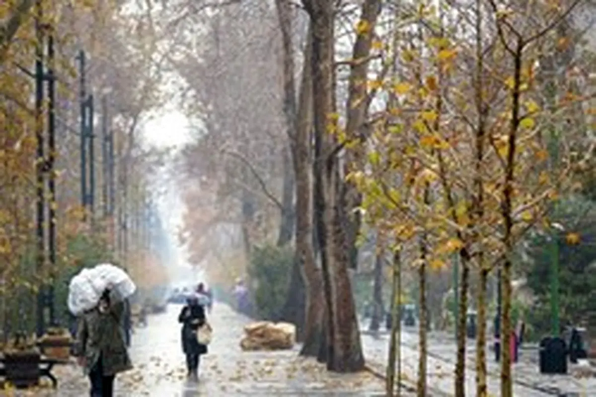 پیش‌بینی بارش باران در تهران و شمال‌غرب کشور امروز پنجشنه ۱۹ تیر