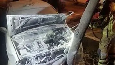 برخورد پراید با درخت در اهواز / راننده در پراید محبوس شد