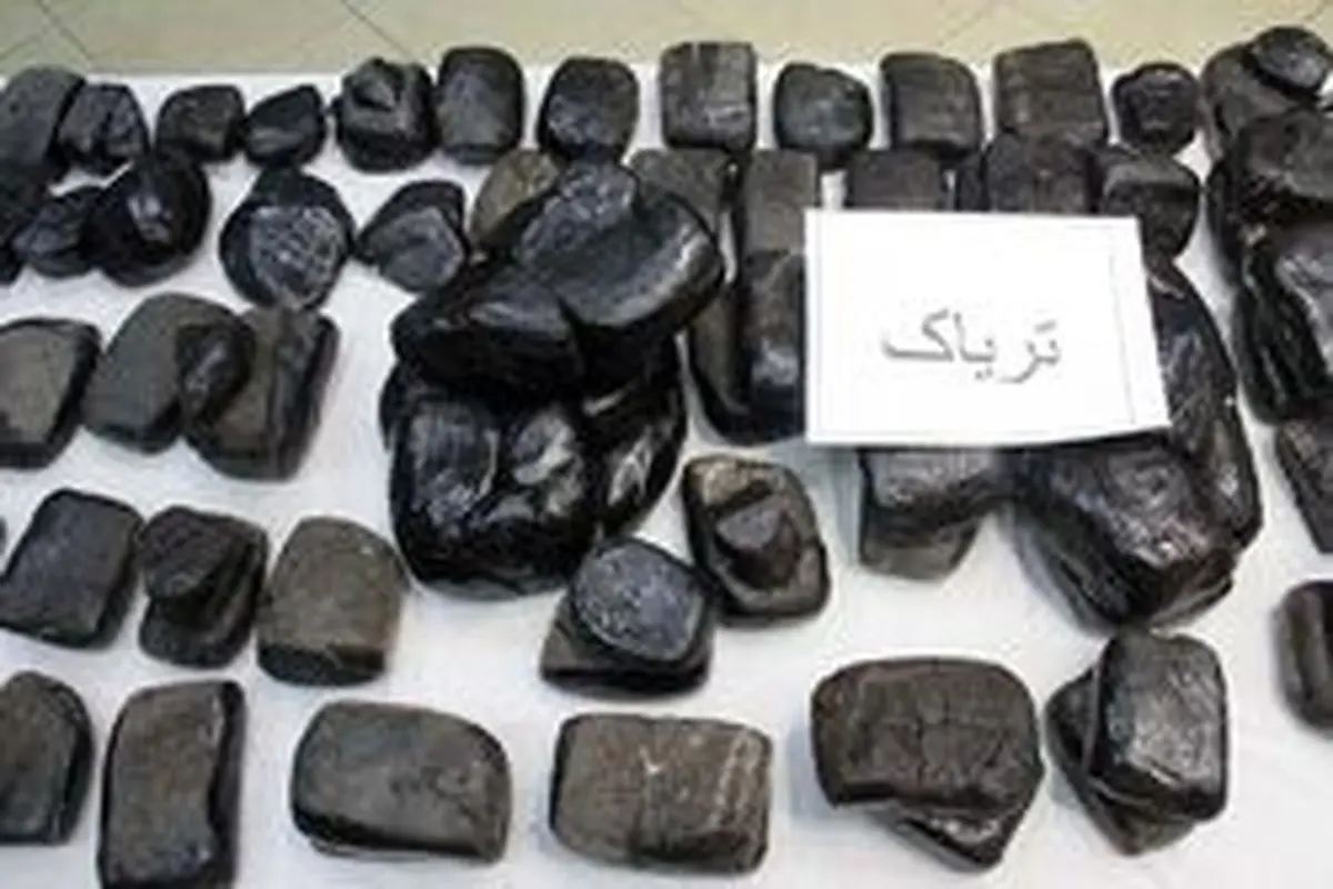 کشف ٢٢٠ کیلوگرم مواد مخدر در شیراز