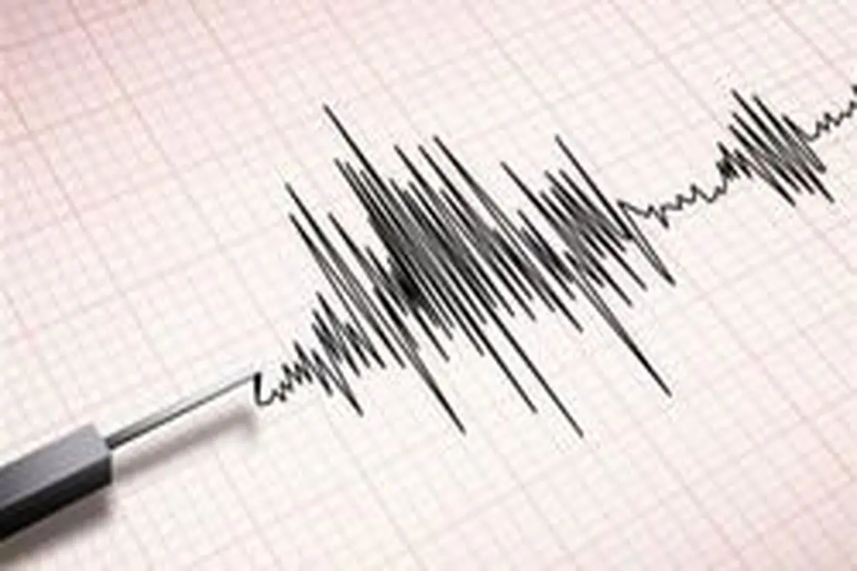 زلزله ۷.۳ ریشتری سواحل گینه‌نو را به شدت لرزاند