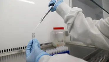 زمان ساخت واکسن کرونا در ایران اعلام شد