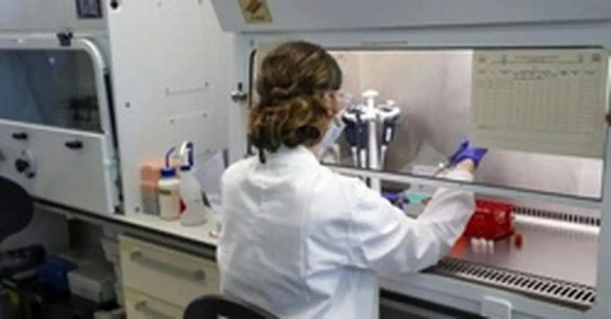 امیدواری‌ها برای دستیابی به واکسن کرونا افزایش یافت