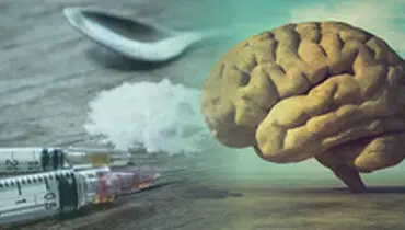 چگونه مواد مخدر مغز را از کار می اندازد؟